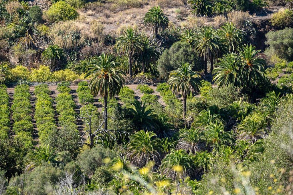 Dunaflor Verde Active & Chill Bungalow Maspalomas  Dış mekan fotoğraf